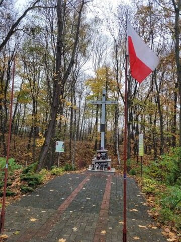 Read article: Ropczyce: Święto Niepodległości 2022 r.