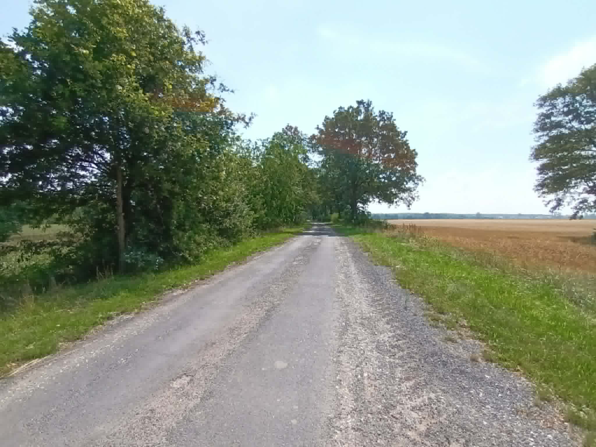 Remont drogi transportu rolnego w gminie Bierawa coraz bliżej