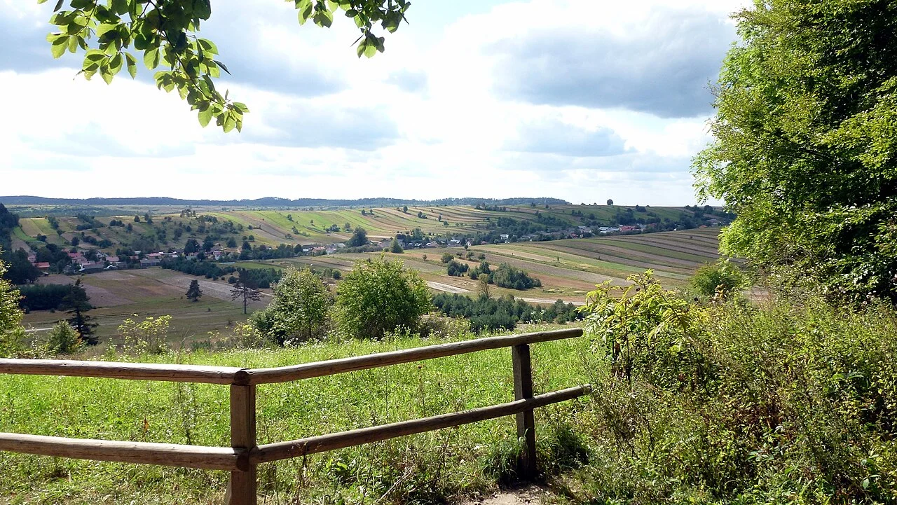 Panoramiczny widok ze szczytu Bukowej Góry w Roztoczańskim Parku Narodowym