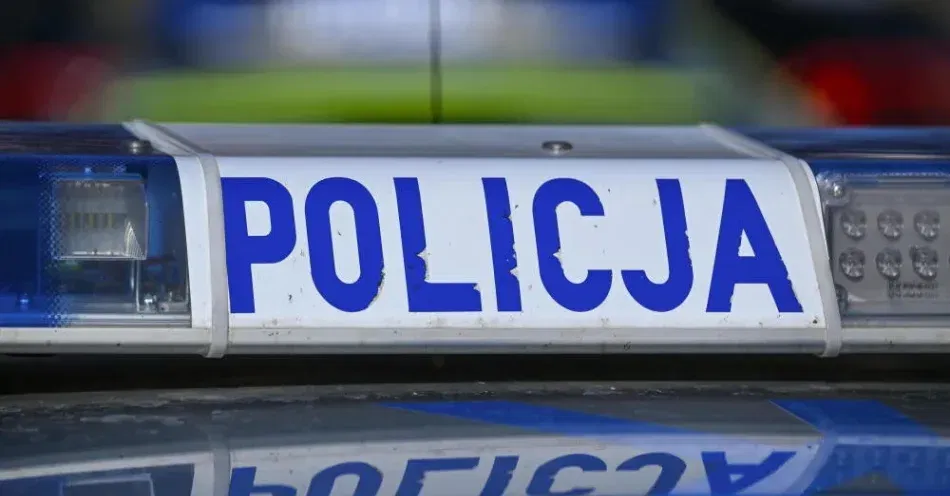 Rzeczniczka MSWiA o ataku obywatela Ukrainy na kobietę: został zatrzymany od razu po ataku