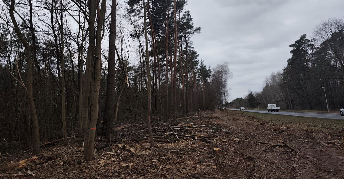 S11 Poznań–Oborniki dopiero w 2029 roku? GDDKiA odpowiada na pytania eoborniki…