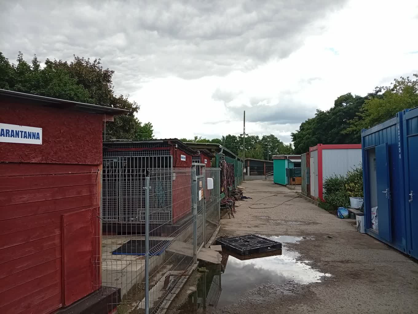 Schronisko dla zwierząt w Gorzowie tymczasowo zamknięte