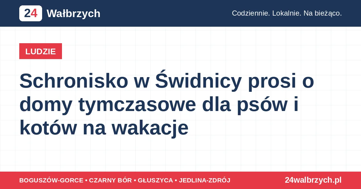 Schronisko w Świdnicy prosi o domy tymczasowe dla psów i kotów na wakacje