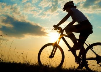 Ścieżka rowerowa ze Świniarska do Nowego Sącza ma być gotowa w przyszłym roku