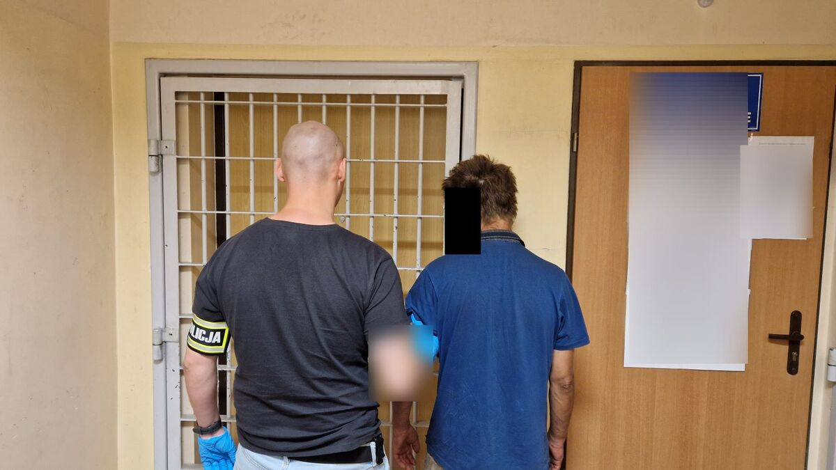 Siedem zatrzymań w jeden dzień