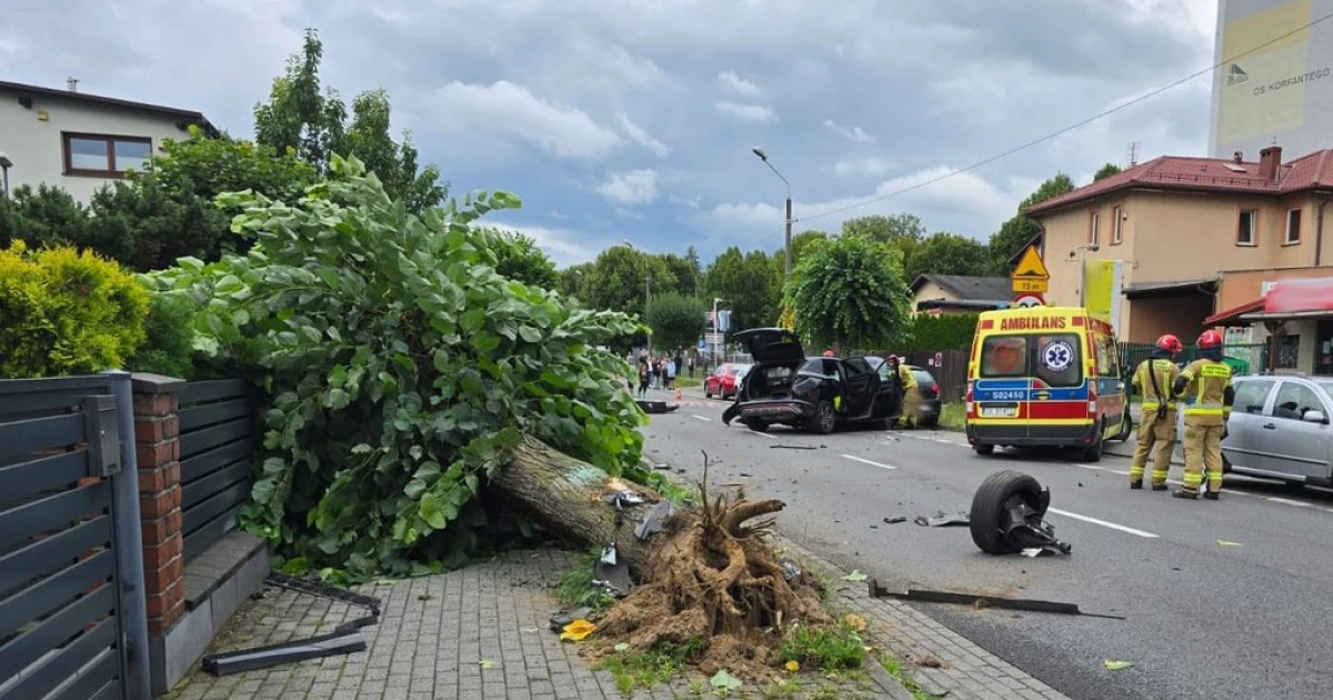 Siłą uderzenia wyrwał przydrożne drzewo!