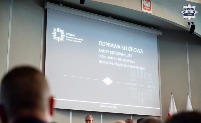 Śląskie drogi pod lupą policji. Są najnowsze dane o wypadkach