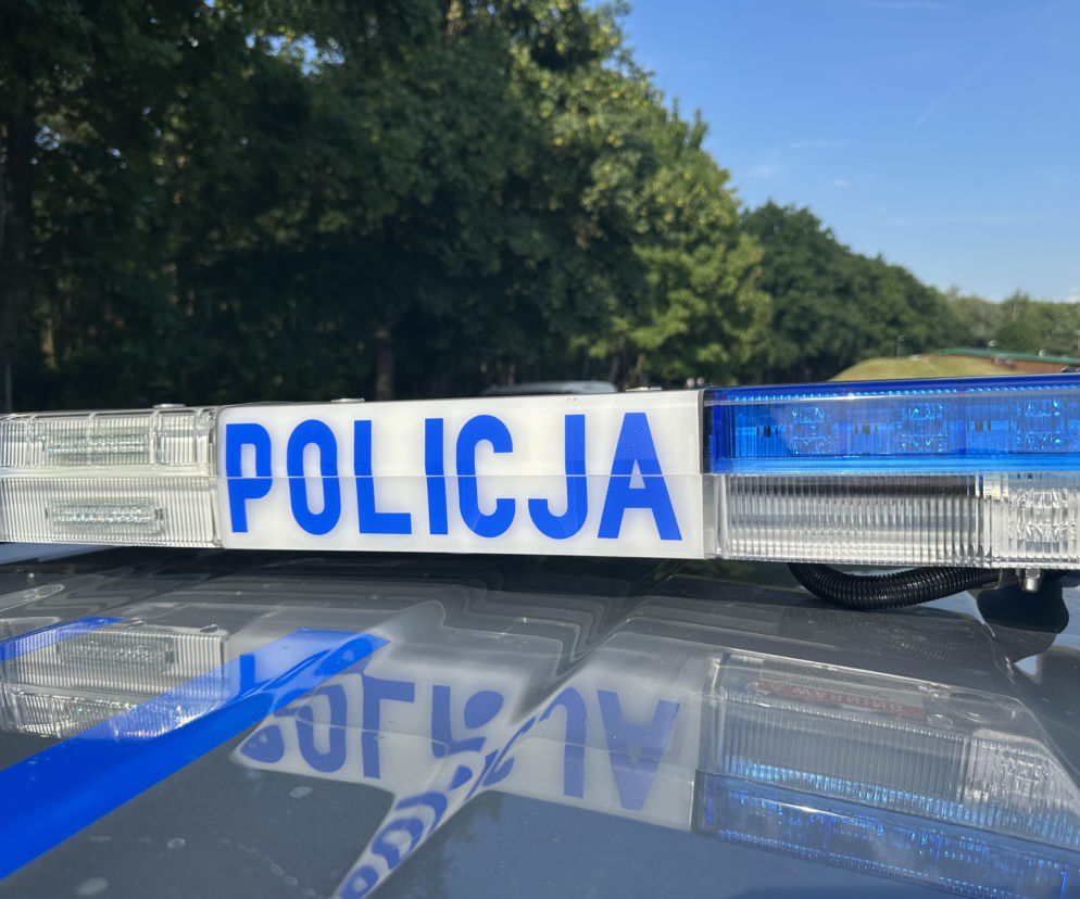 policja