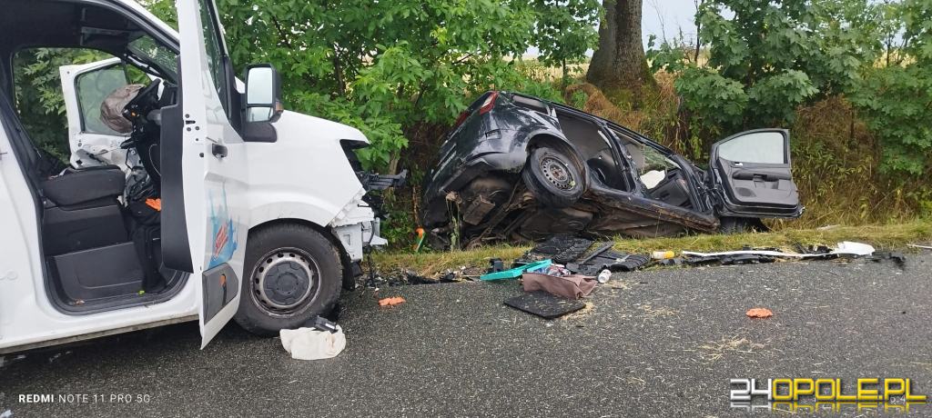 Śmiertelny wypadek na trasie Wilków-Rostkowice