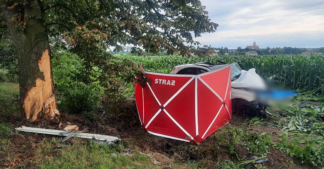 Śmiertelny wypadek w Świętoszowicach (powiat tarnogórski). Nie żyje dwóch młodych mężczyzn