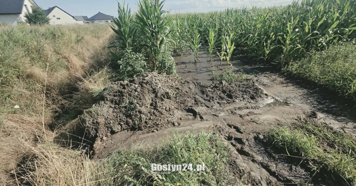 Smród, osad i tajemniczy przekop. "Ktoś liczył, że wszystko po prostu spłynie?"