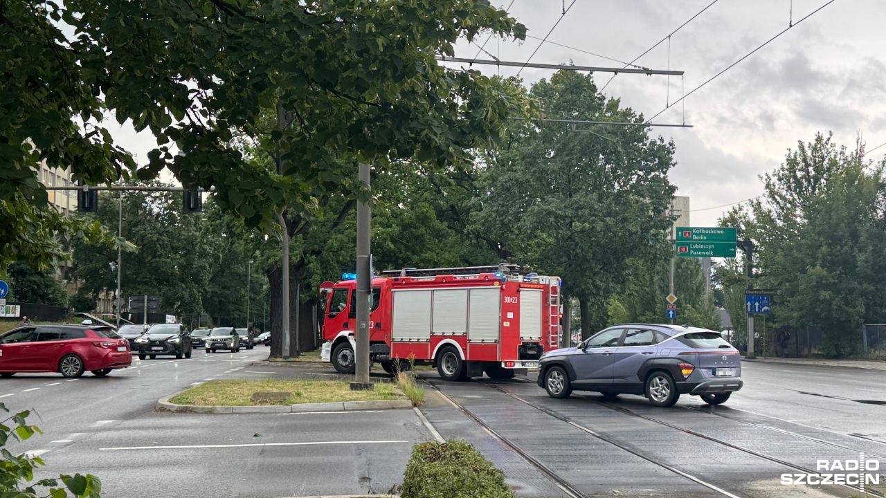 Spadła gałąź, stanęły tramwaje