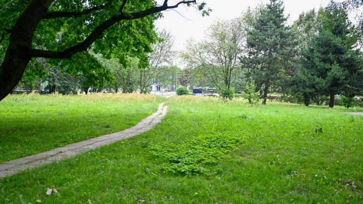 Park Aleksandry