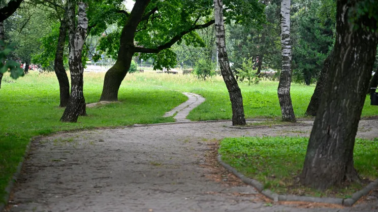 Park Aleksandry