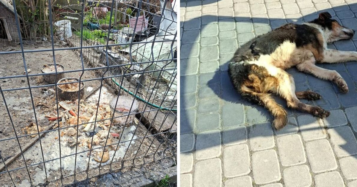 Sprawa poruszyła cały region. Mąż skarbnik miasta skazany. TOZ nie odpuszcza