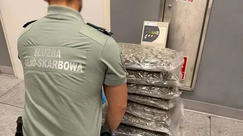 W paczkach z Kanady było ponad 40 kilogramów marihuany