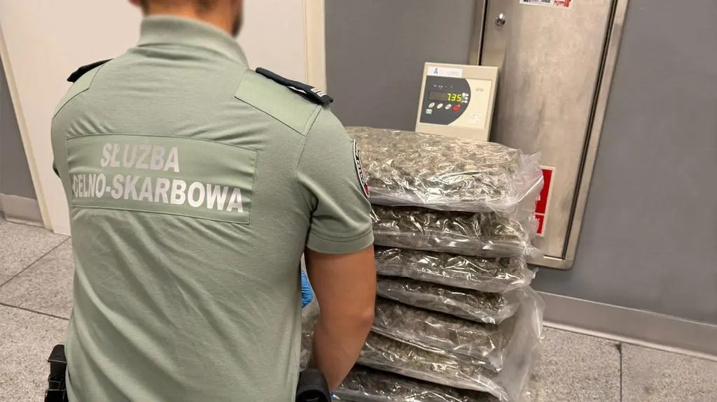 W paczkach z Kanady było ponad 40 kilogramów marihuany