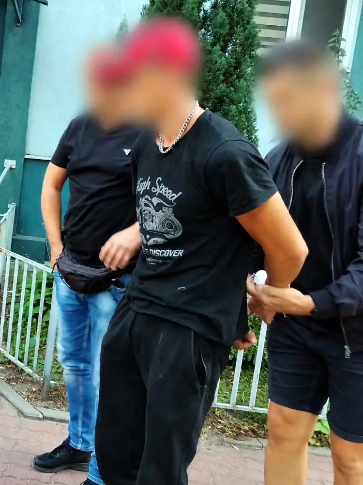 Środki zapobiegawcze wobec podejrzanych w sprawie incydentu w pociągu Warszawa - Tłuszcz
