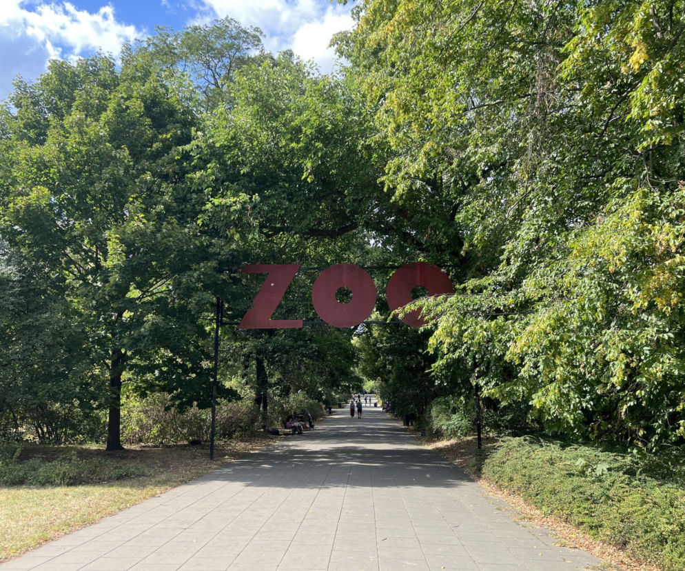 Czerwony napis ZOO nad alejką w otoczeniu gęstych drzew. O apelu warszawskiego ogrodu przeczytasz na Radioplus.
