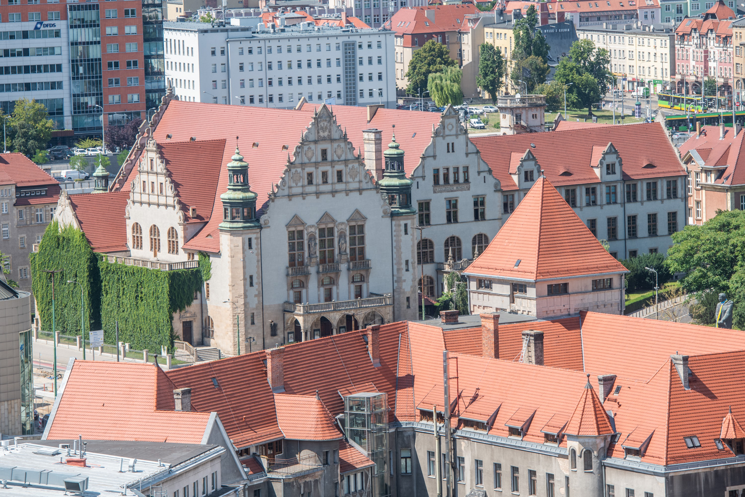 Stolica Wielkopolski światową stolicą praw dziecka. Podpiszą Poznańską Deklarację