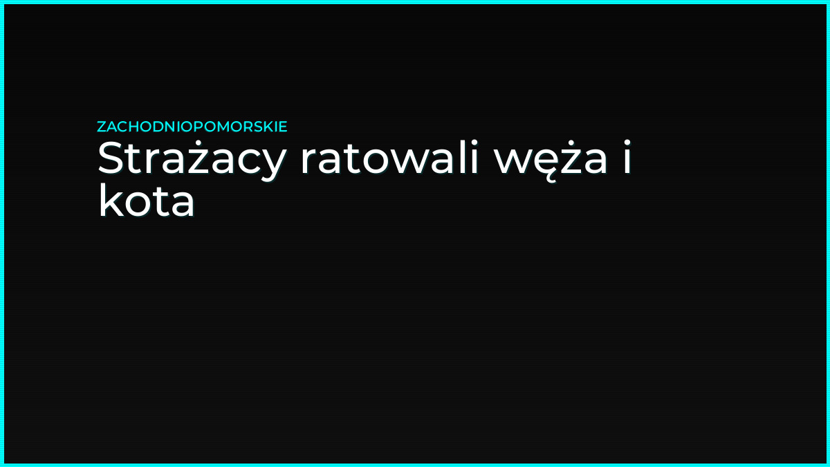 Strażacy ratowali węża i kota