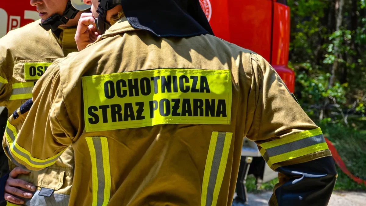 Strażacy usuwają skutki burzy. Połamane drzewa, zerwane dachy i linie energetyczne