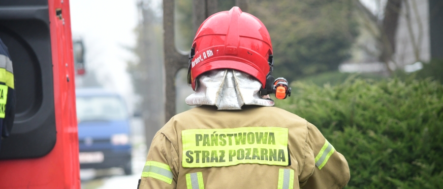Strażacy usuwali połamane drzewo i otwierali mieszkanie. Wszystko przed południem