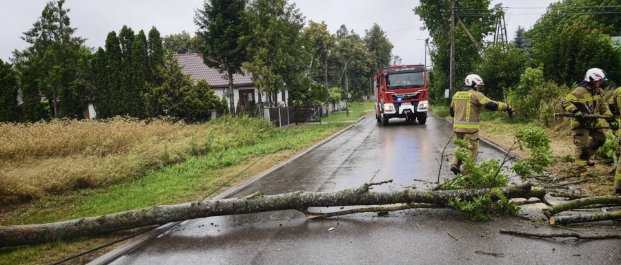 Strażacy usuwali wciąż drzewa połamane przez silny wiatr