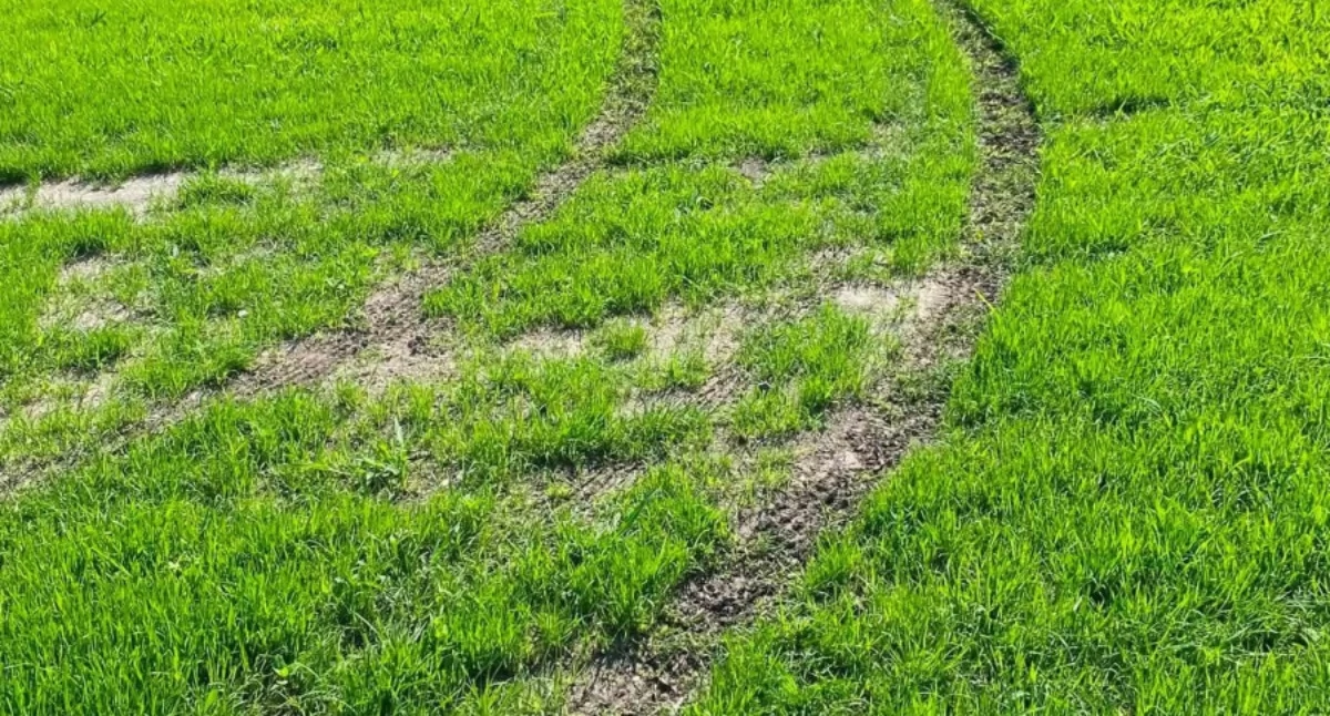 Strażacy: „Wandalu, zniszczyłeś pracę całe…