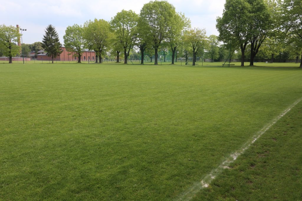 Świdnica z wojewódzkim dofinansowaniem
