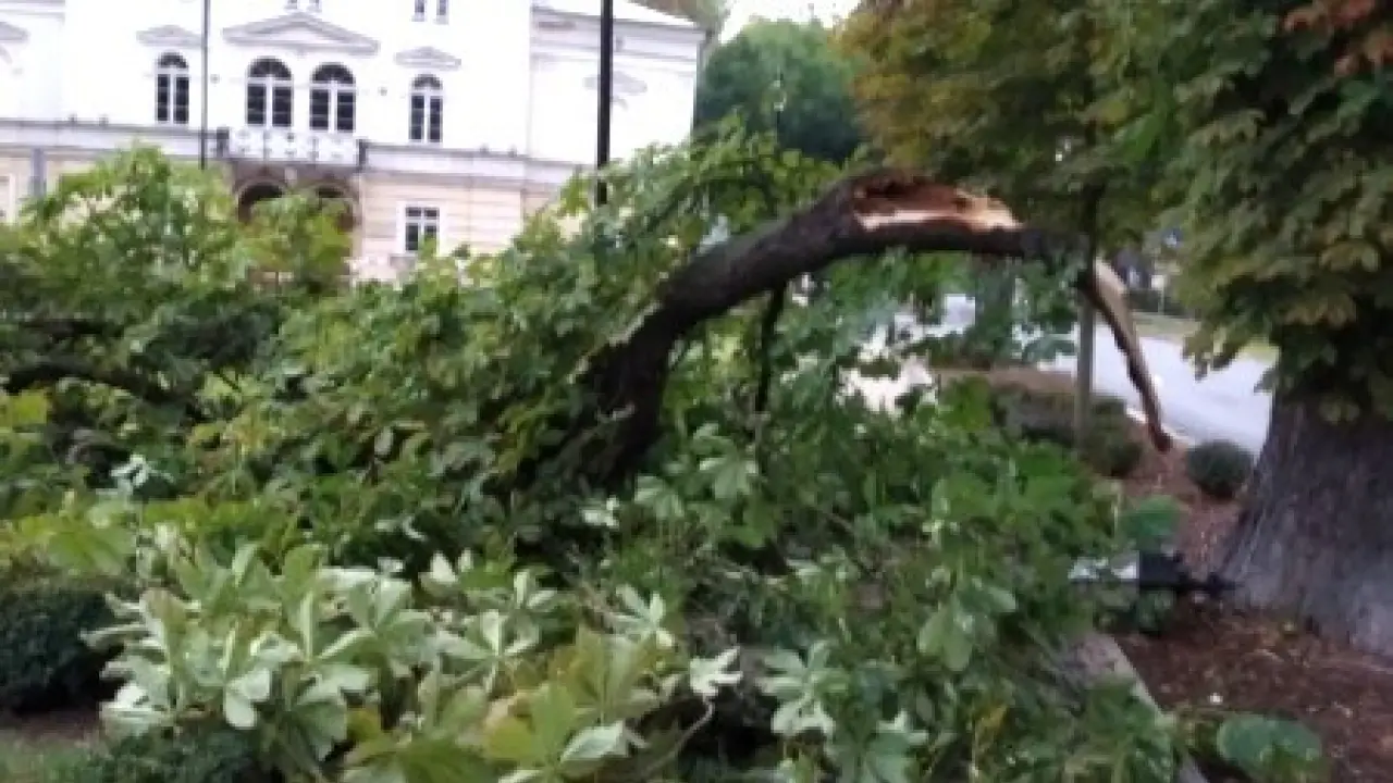 Szkody po burzy na zabytkowych plantach w Bolesławcu