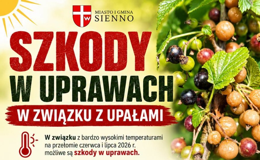 Szkody w uprawach rolniczych z powodu upałów: Ruszył nabór wniosków
