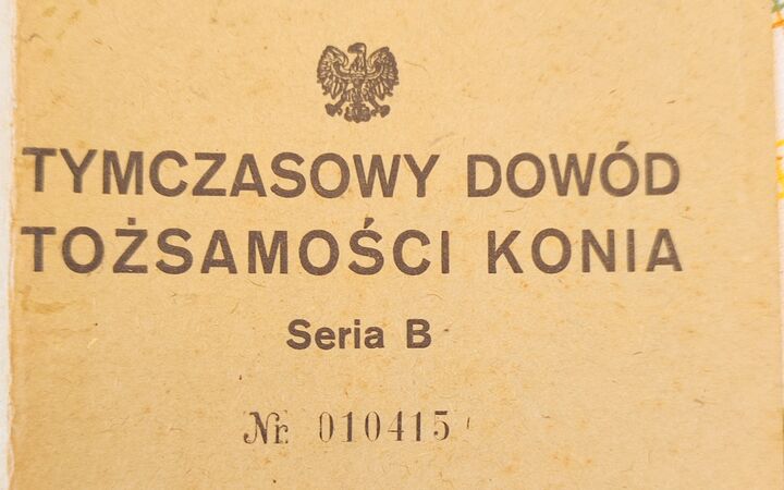 Szkoły, sklepy i trudna codzienność
