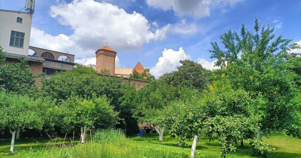 Tajemnice klasztorów. Te ogrody na co dzień są zamknięte za wysokimi murami