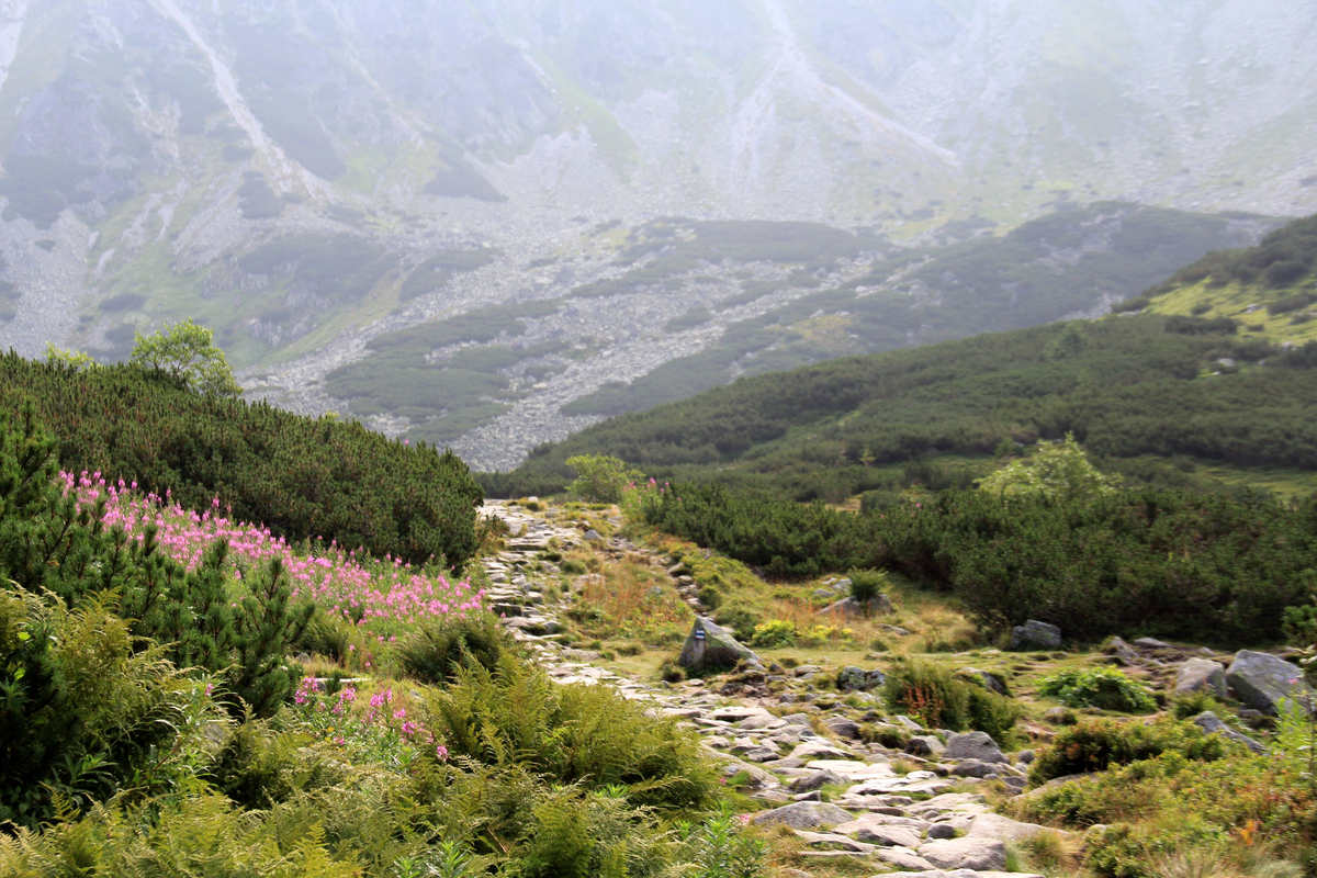 Tatry: Poważne wypadki i skomplikowane akcje