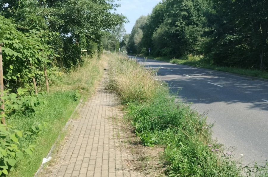 Ten as w rękawie da nam europejski tytuł? „Uważamy, że tak nie powinno to wyglądać” - foto