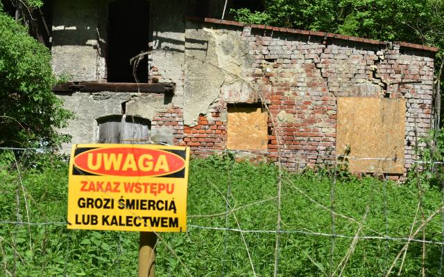 Ten las skrywa prawdziwe tajemnice. Kiedyś był tu gwar, teraz są ruiny