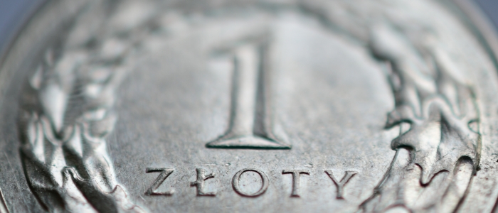 To jedno z krótszych oświadczeń majątkowych włodarza gminy. To wpisała do niego wójt