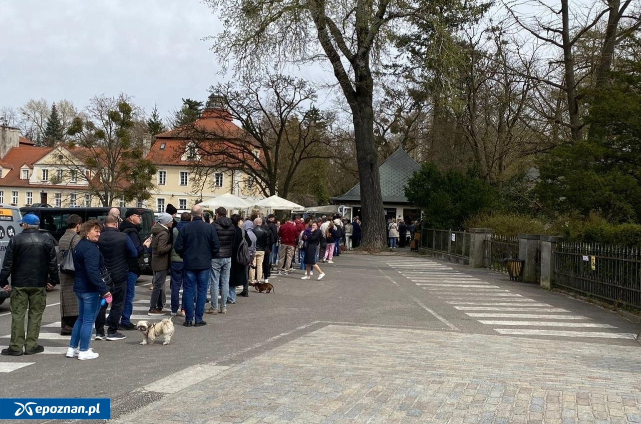To popularne miejsce pod Poznaniem istnieje już 200 lat. W niedzielę znów może przyciągnąć tłumy