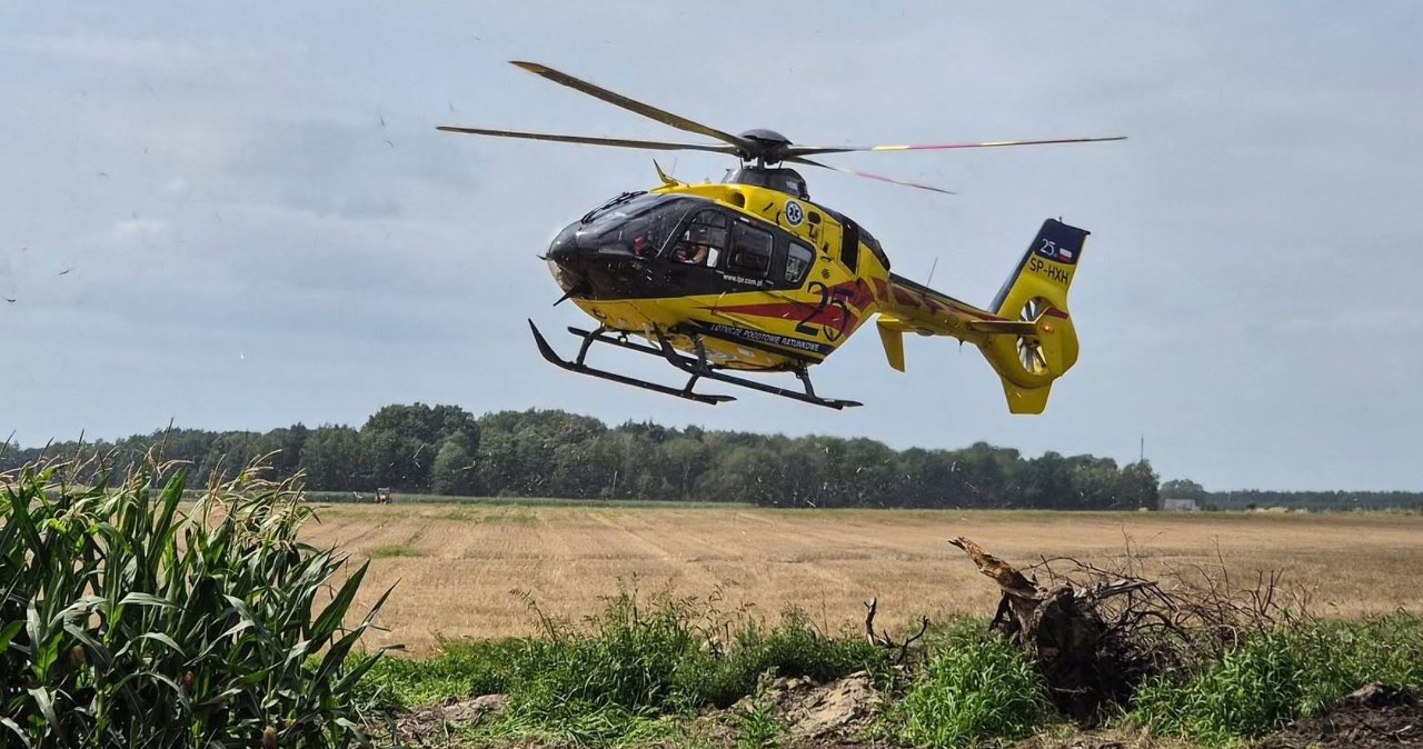 Tragedia na drodze. Dziecko wjechało hulajnogą wprost pod kombajn