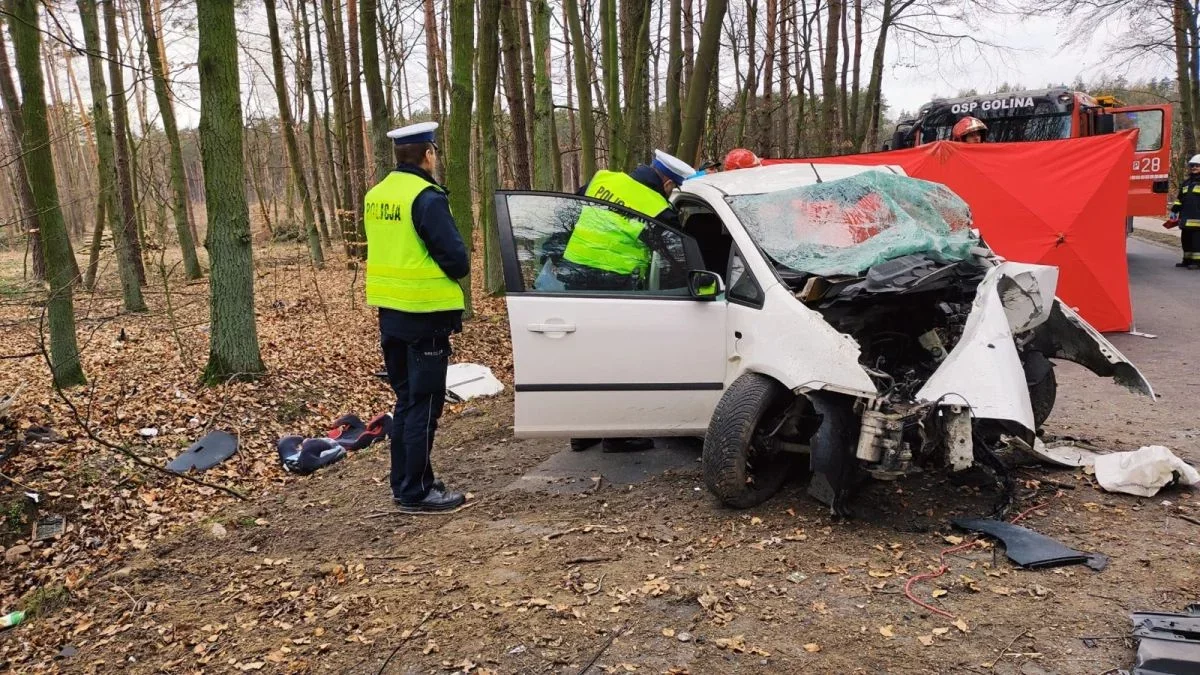 Tragicznie na drogach - wakacje zbierają śmiertelne żniwo. Policja podaje szczegóły i ostrzega