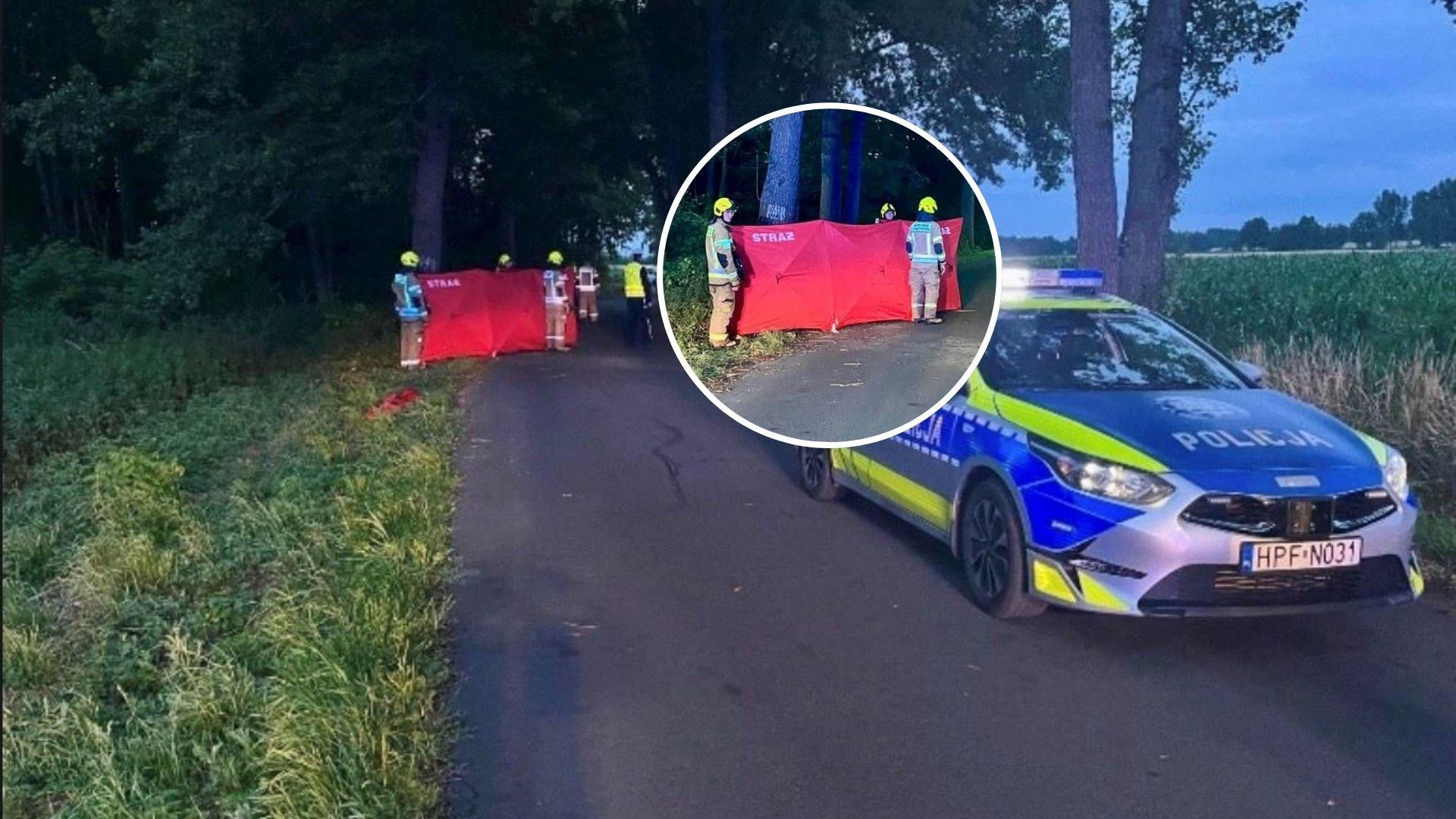 Tragiczny wypadek 16-latek roztrzaskał się motocyklem na drzewie. Czerwony parawan w miejscu wypadku łamie serce