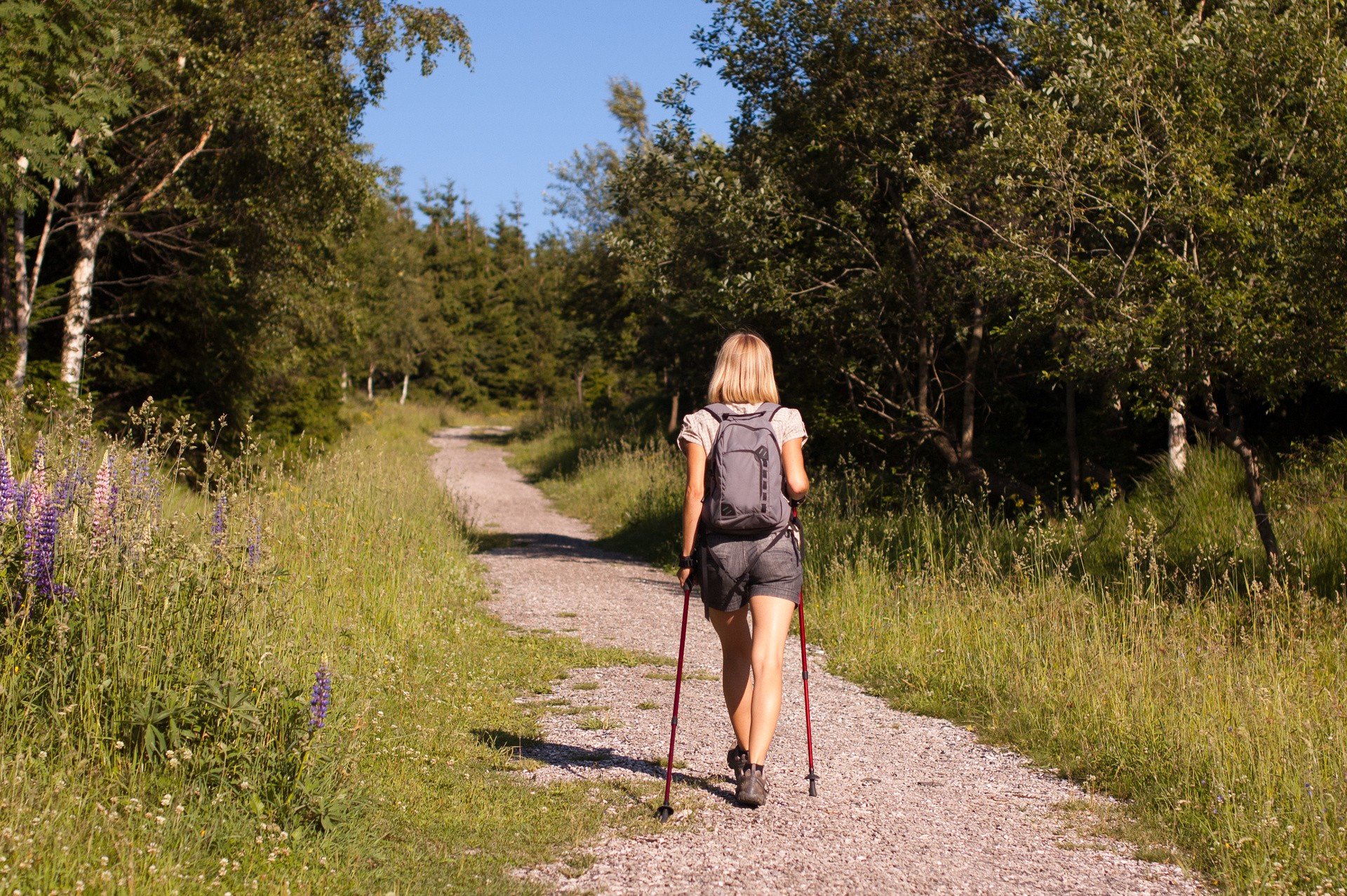 Trasy nordic walking w pobliżu Gryfina