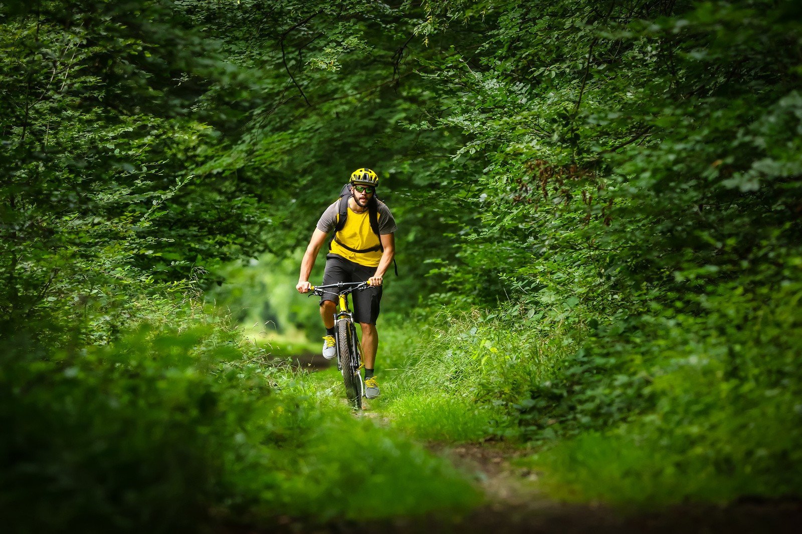 Trasy rowerowe na weekend w okolicy Gryfic