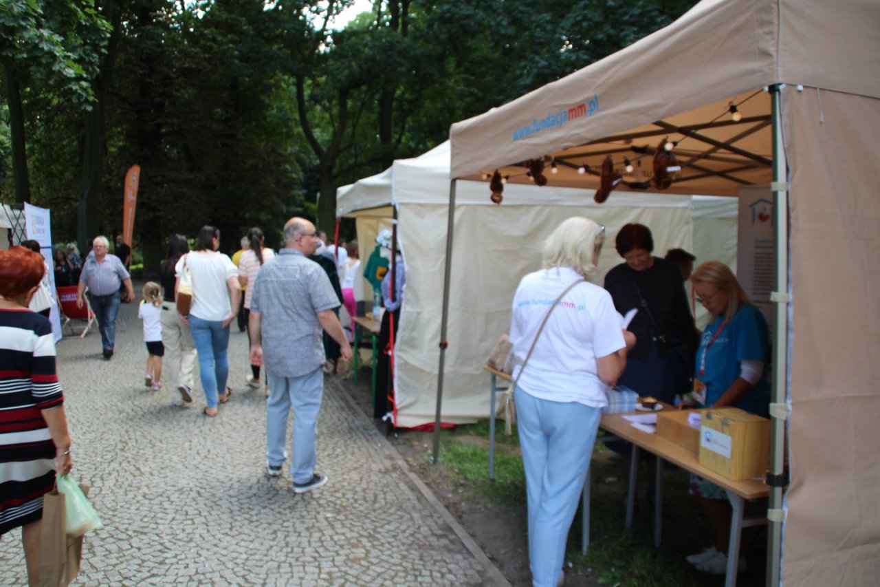 Trwają zapisy na Piknik NGO – „Przyjaźnie, zdrowo i aktywnie” 2026
