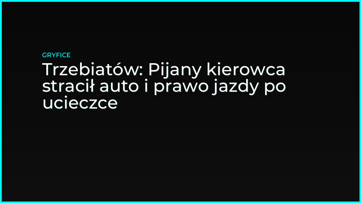 Trzebiatów: Pijany kierowca stracił auto i prawo jazdy po ucieczce