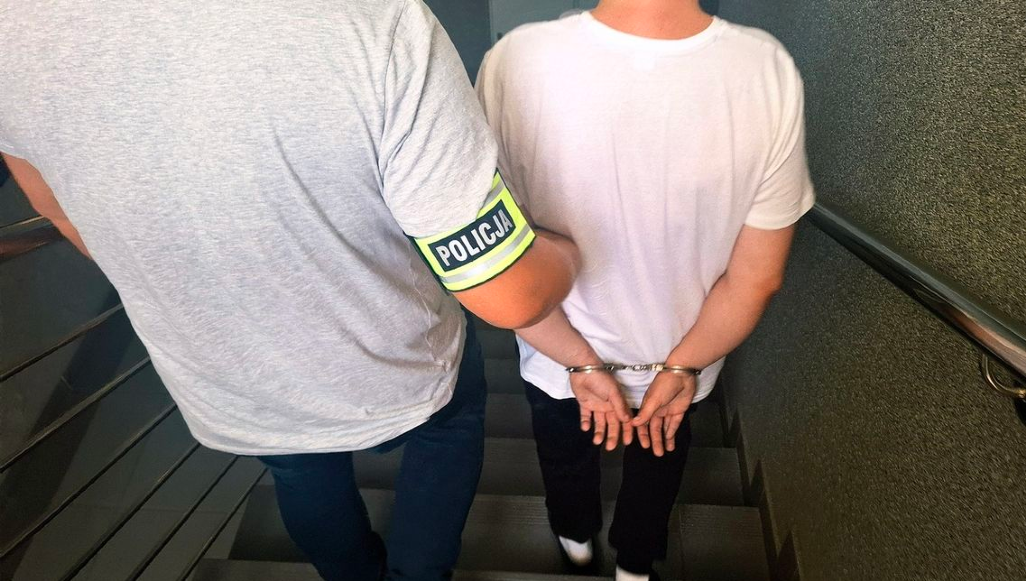 Tymczasowy areszt za znęcanie się nad psem. 30-latek usłyszał zarzuty, w tym dotyczące pornografii z udziałem zwierząt