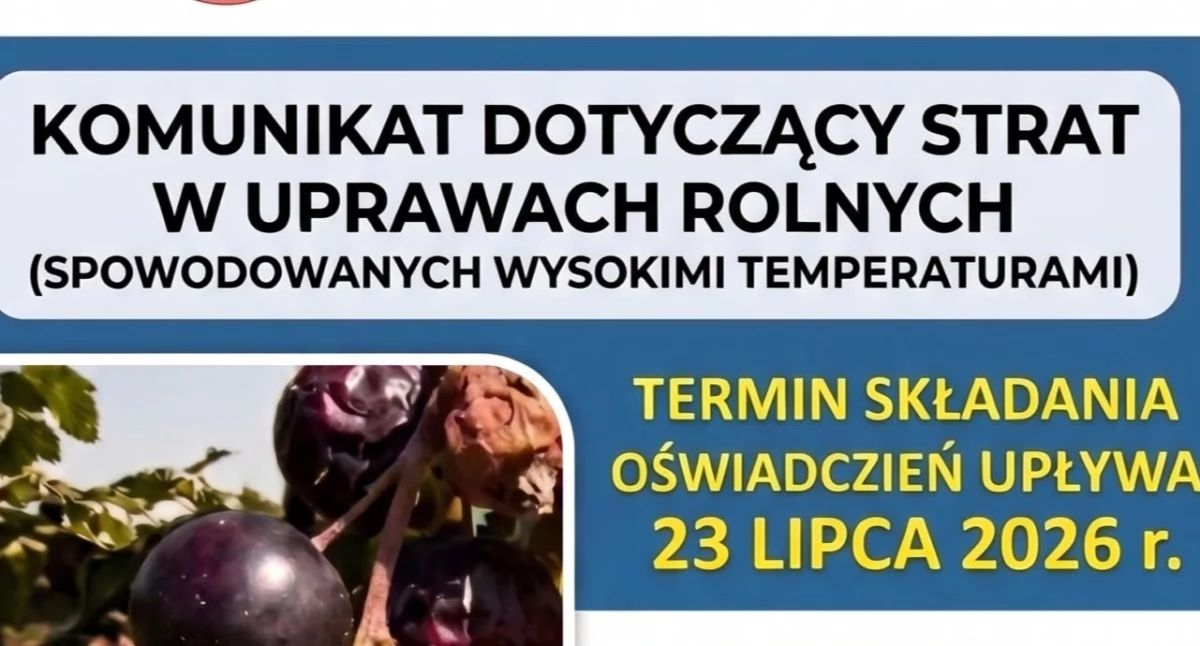 Ułęż: rolnicy mają czas do 23 lipca na zgłoszenie strat w uprawach