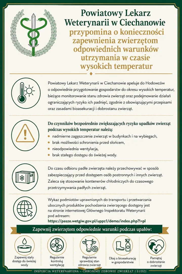 Upały zagrażają zwierzętom. Weterynarz z Ciechanowa przypomina o opiece