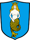 Usługi Transportowe. Handel. Wiewiór Grzegorz